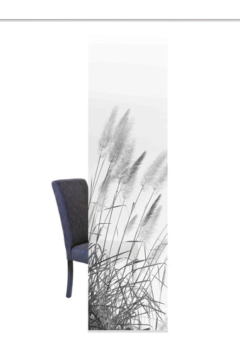 Flächenvorhang Pampas grau BxH 60x245cm