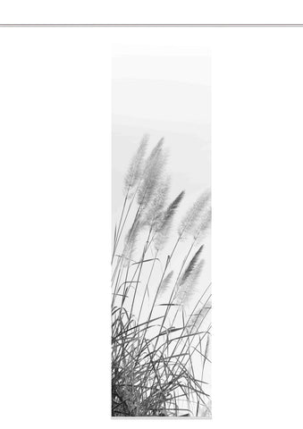Flächenvorhang Pampas grau BxH 60x245cm