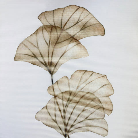 Flächenvorhang Vision S Berto sand BxH 60x260cm