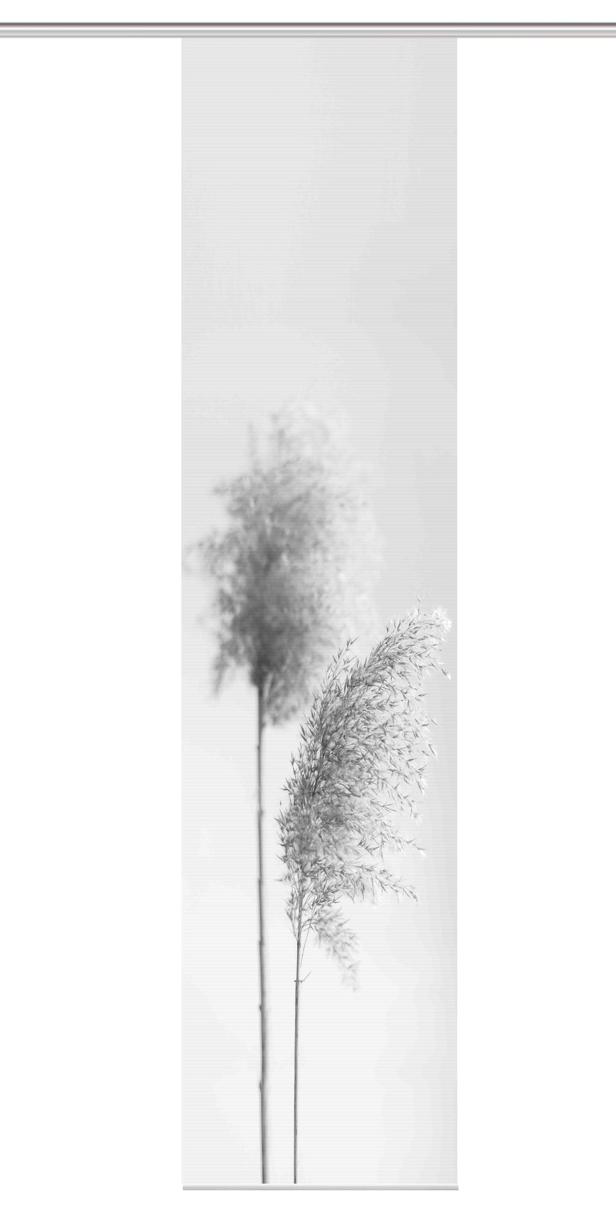Flächenvorhang Vision S Irlos grau BxH 60x260cm