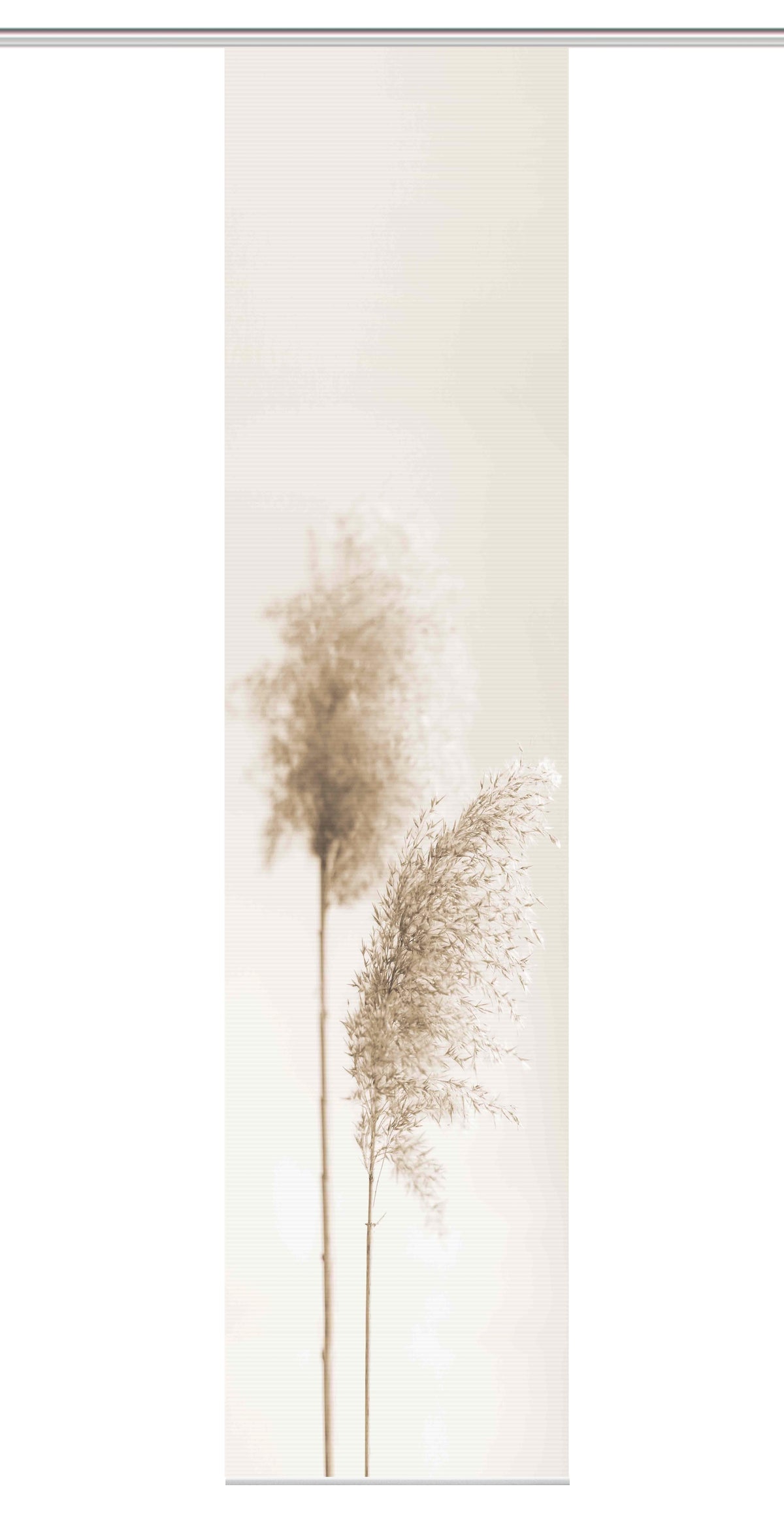 Flächenvorhang Vision S Irlos sand BxH 60x260cm