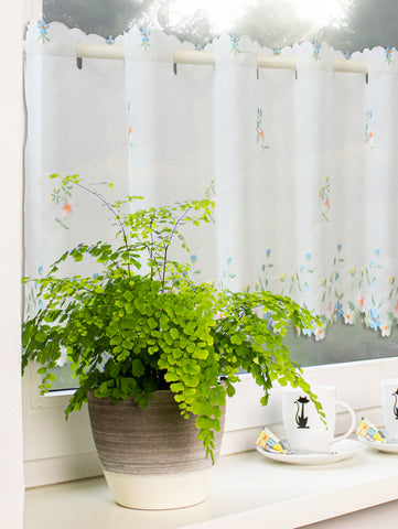 Scheibengardine bestickt mit Blumen HxB 48x140cm 2483