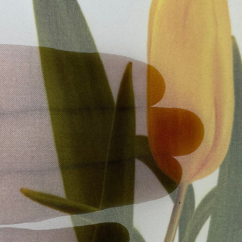 Scheibengardine Schlaufen Panneaux HxB 50x140cm Tulpen 4071