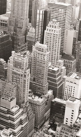 Digi Rollo Sichtschutz digital bedruckt Stadt New York