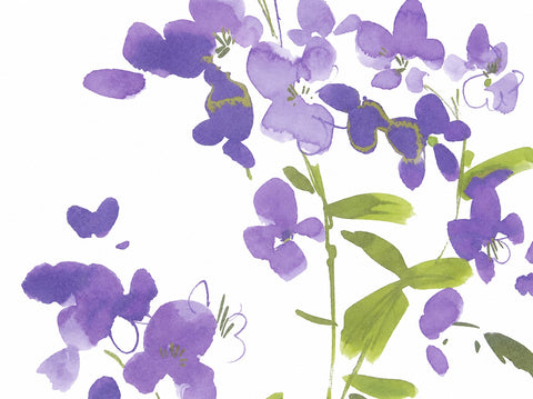 Design Kuvert weiß Blume lila BxH 60x90cm Scheibengardine 4052