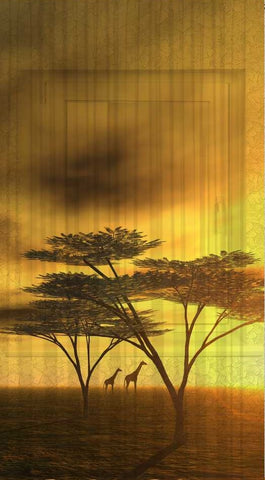 Schal mit Druckmotiv Afrika Giraffe BxH 135x245cm (transparent)