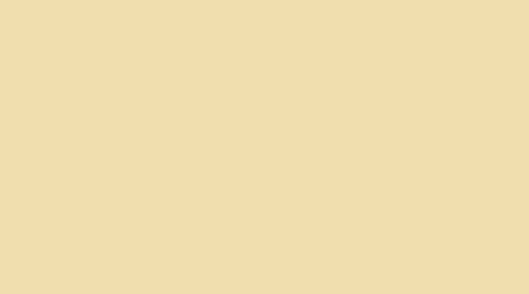 Classic Rollo Sichtschutz beige creme
