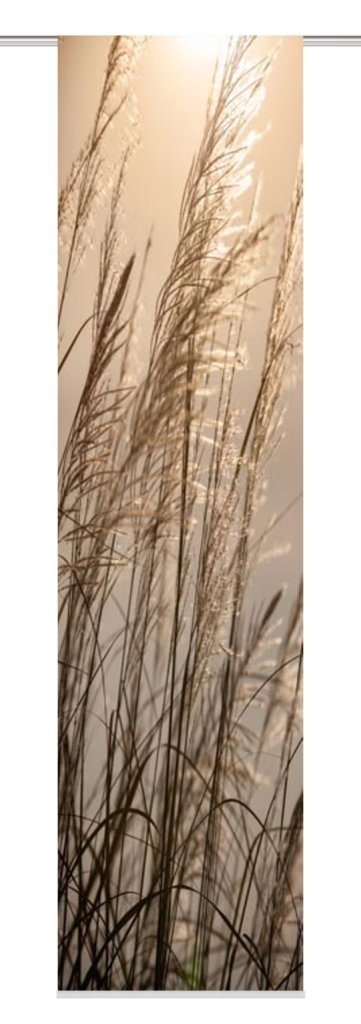 Flächenvorhang Caruso natur BxH 60x245cm