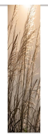 Flächenvorhang Caruso natur BxH 60x245cm